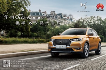 DS